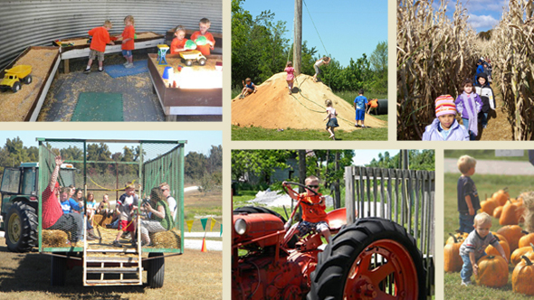 Hinton's FarmLand Hayrides Tractor Fun Pumpkin Patch Kids Family
