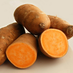 Hintons Fall Sweet Potato
