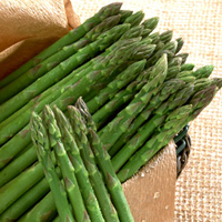 Asparagus in Spring at Hintons