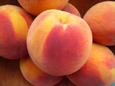 Peaches at Hintons Orchard