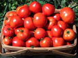 Hintons Summer Tomatoes