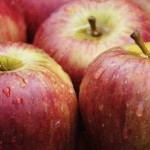 apples apples